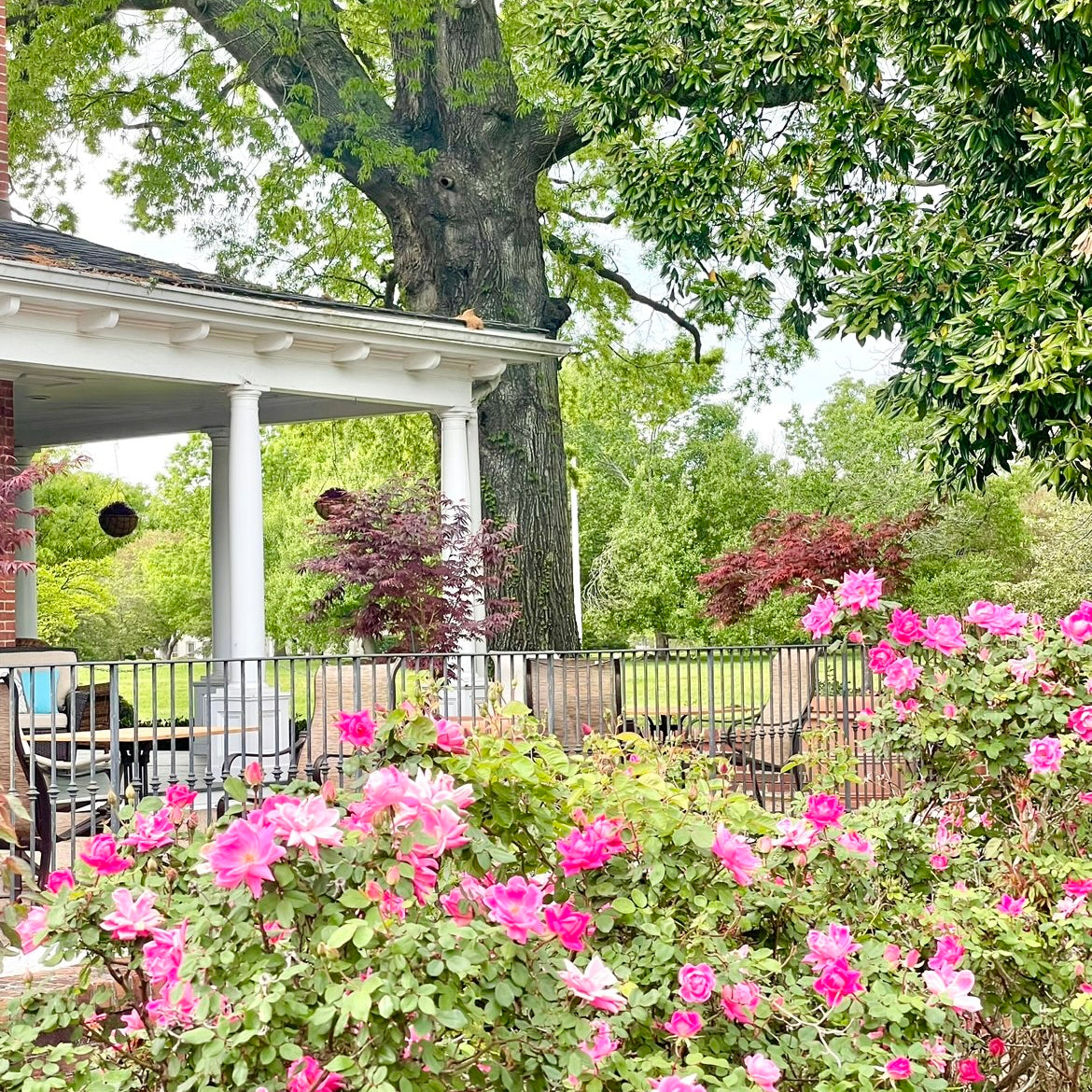 Church Point Manor in Virginia Beach