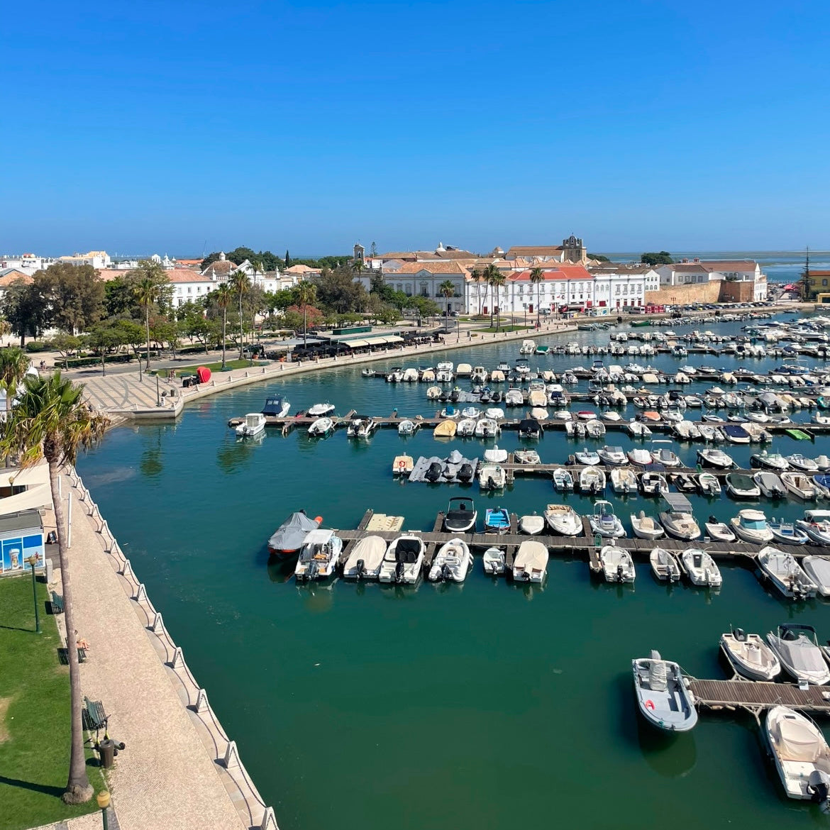 Best Things to Do in Faro, Portugal and Day Trips
