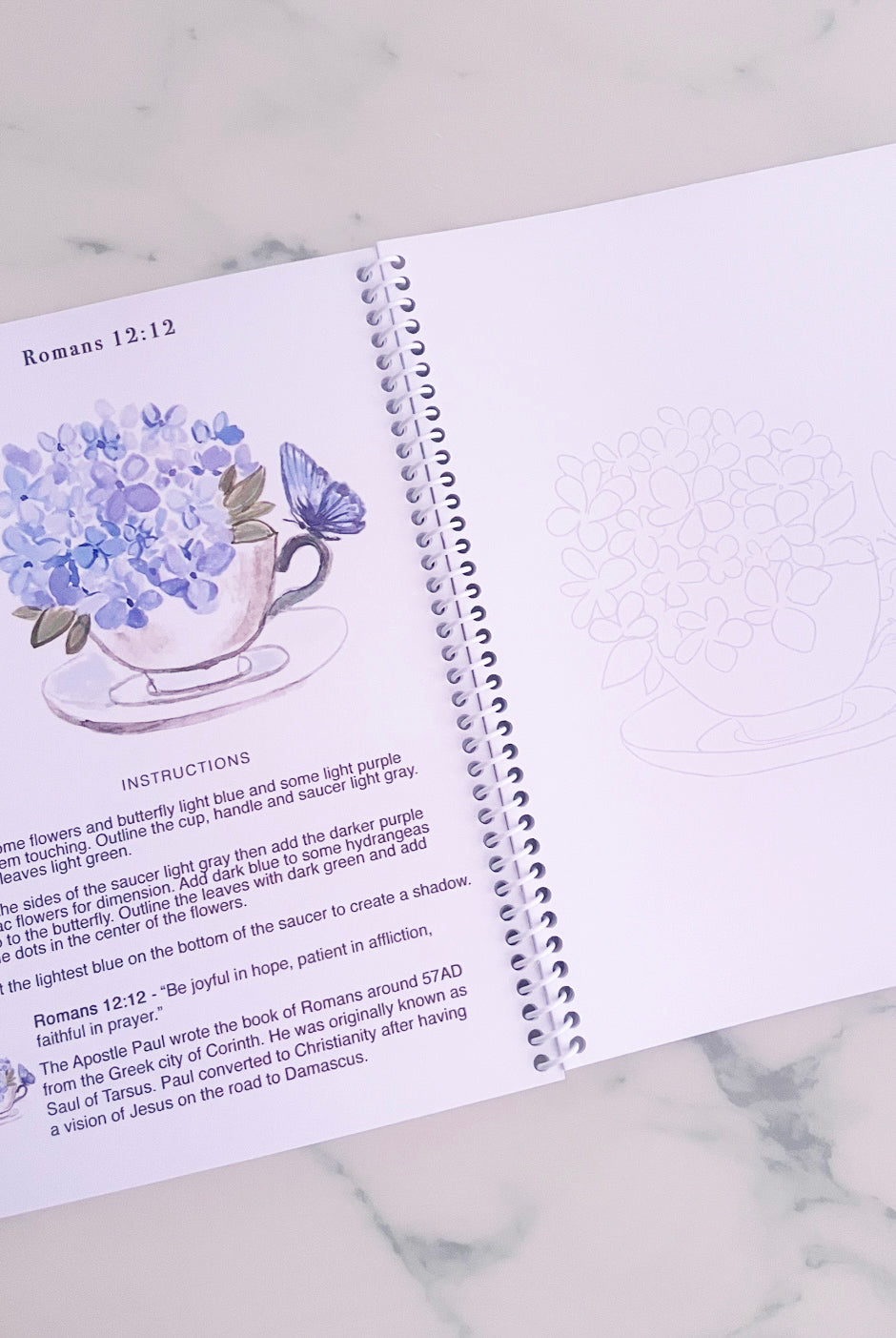 Hydrangeas and & His Word watercolor workbook by Ceci Mason featuring hydrangea paintings and Scripture