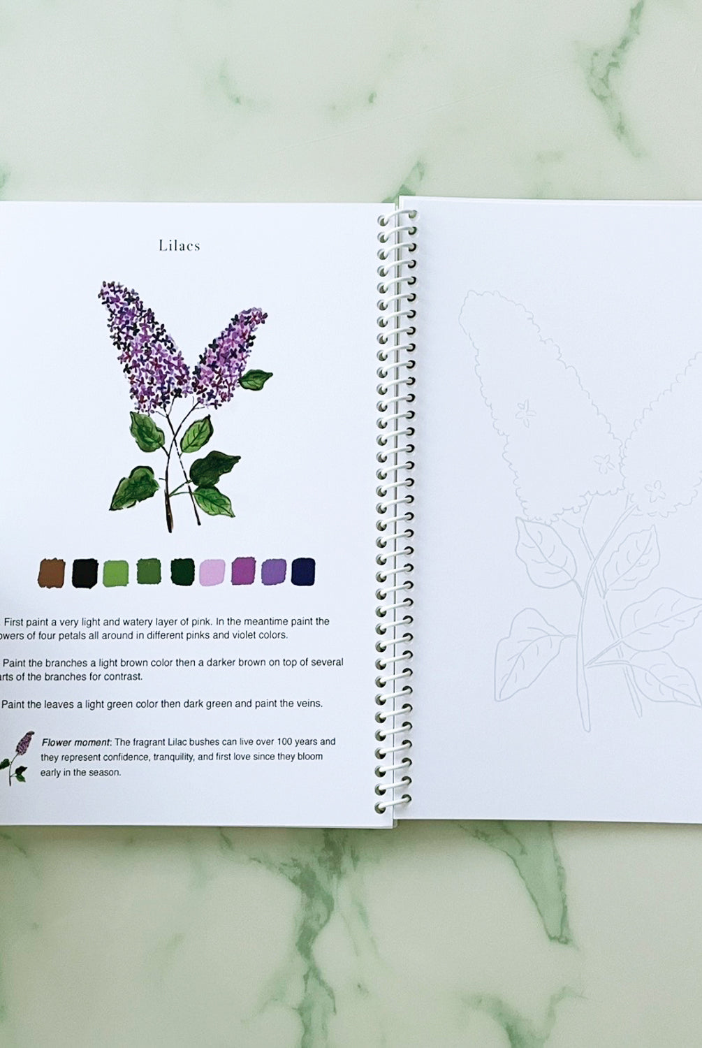 Watercolor Flowers for Beginners Workbook | 14 Beautiful Paintings Book by Ceci Mason