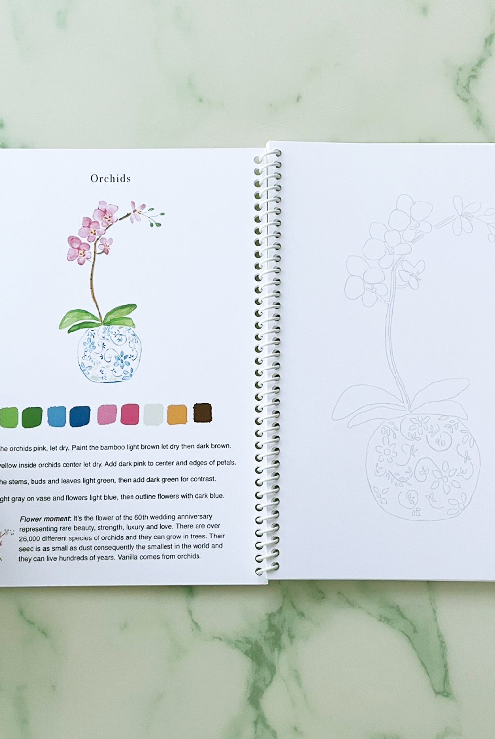 Watercolor Flowers for Beginners Workbook | 14 Beautiful Paintings Book by Ceci Mason