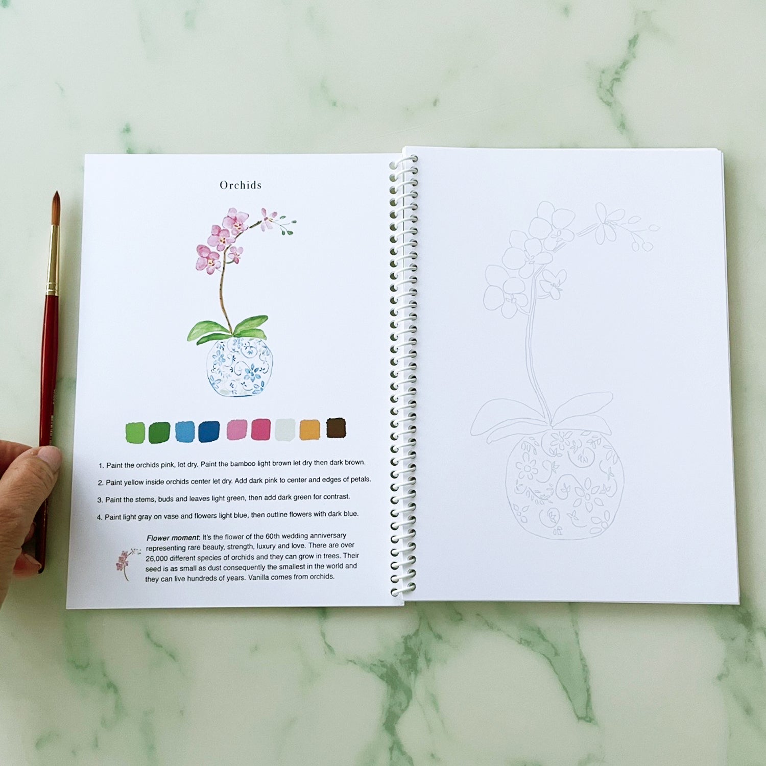 Watercolor Flowers for Beginners Workbook | 14 Beautiful Paintings Book by Ceci Mason