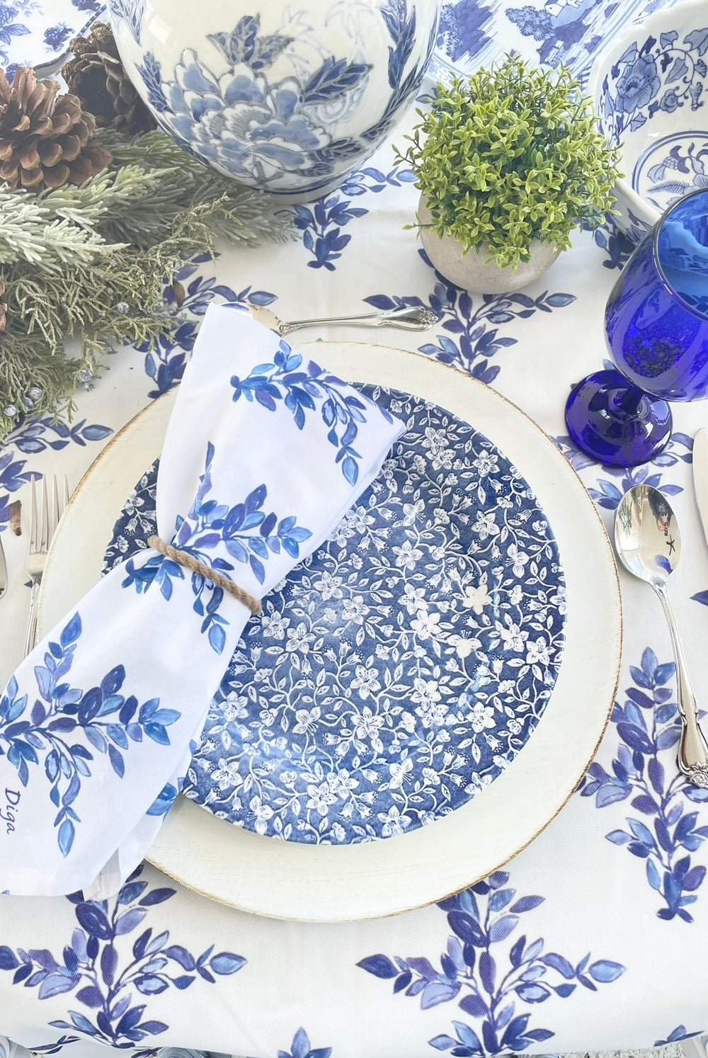Vincentina Coast Napkins (set of 2)