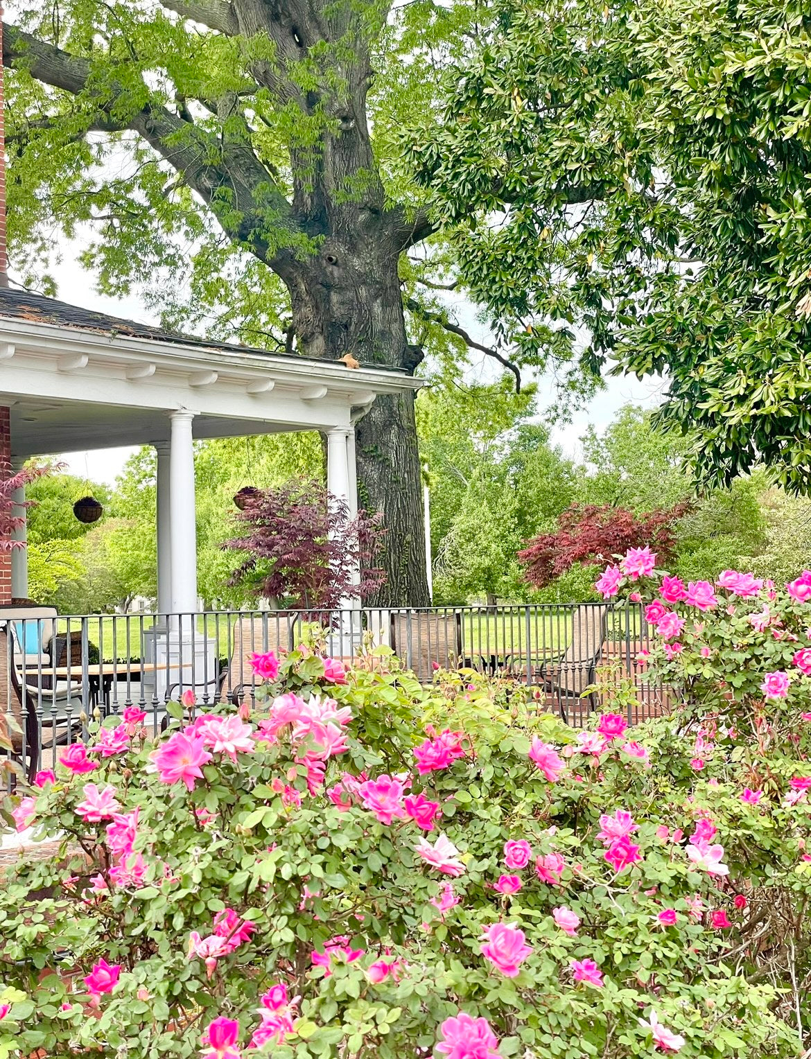 Church Point Manor in Virginia Beach