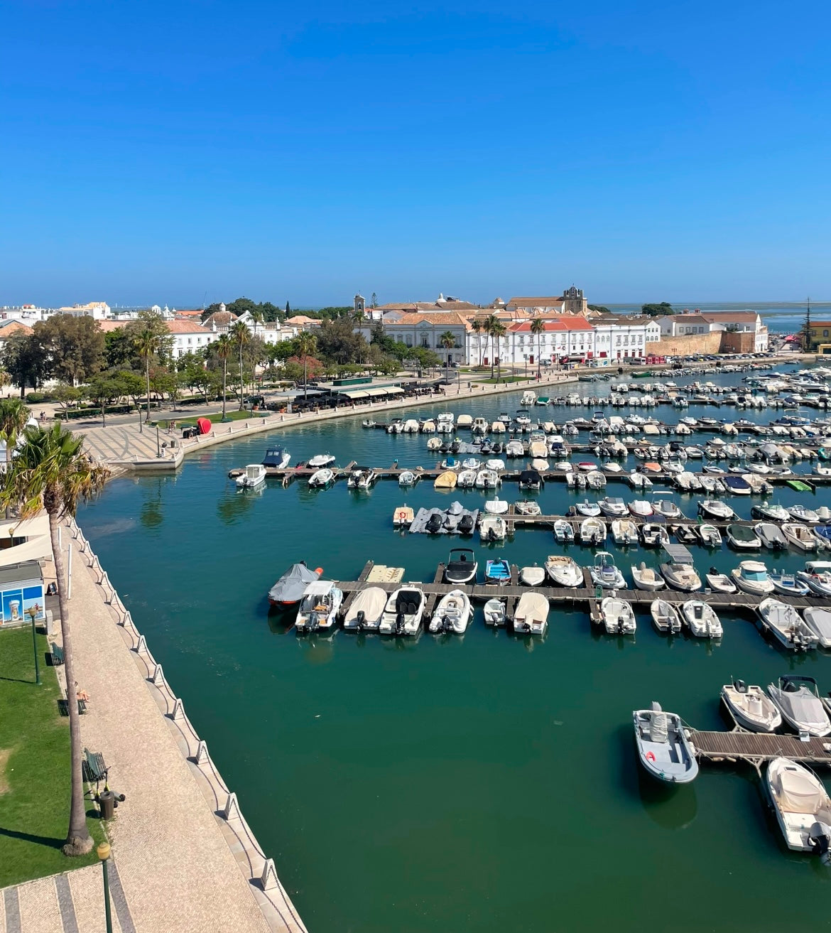 Best Things to Do in Faro, Portugal and Day Trips