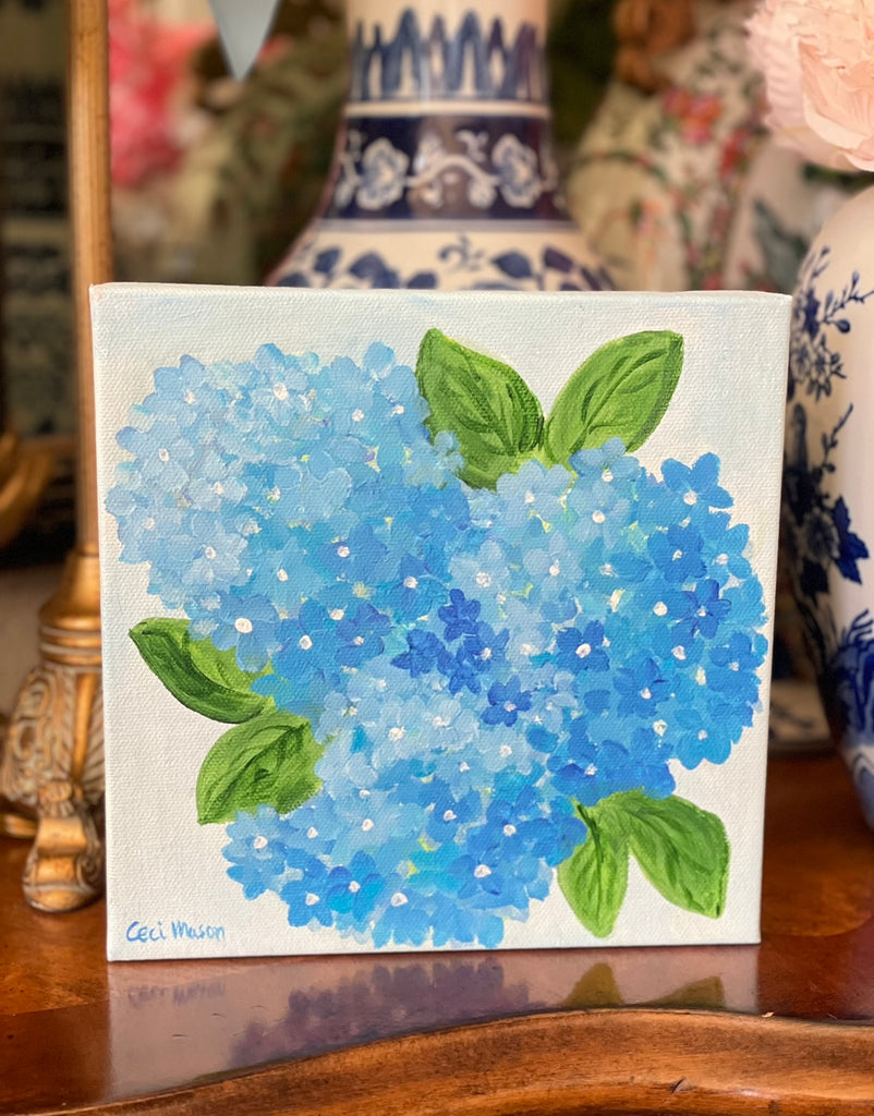 Blue and White Splendor Hydrangea