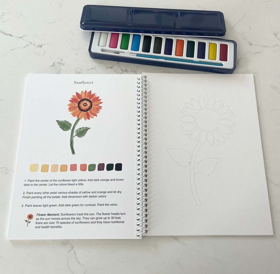 Ceci Mason watercolor flower book and paint set for the Book & Paint Experience
